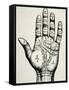 Palmistry-null-Framed Stretched Canvas