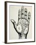 Palmistry-null-Framed Art Print