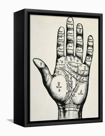 Palmistry-null-Framed Stretched Canvas