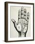 Palmistry-null-Framed Art Print