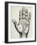 Palmistry-null-Framed Art Print