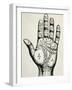 Palmistry-null-Framed Art Print