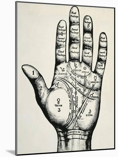 Palmistry-null-Mounted Art Print