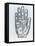 Palmistry-English School-Framed Stretched Canvas