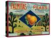 Palmitas Pear Crate Label - Antelope Valley, CA-Lantern Press-Stretched Canvas