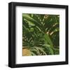 Palms 01-Rick Novak-Framed Art Print