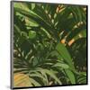 Palms 01-Rick Novak-Mounted Art Print
