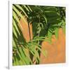 Palms 02-Rick Novak-Framed Premium Giclee Print