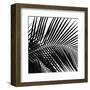 Palms 10 (detail)-Jamie Kingham-Framed Art Print