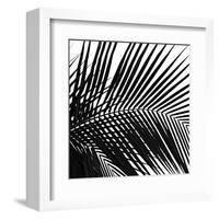 Palms 10 (detail)-Jamie Kingham-Framed Art Print