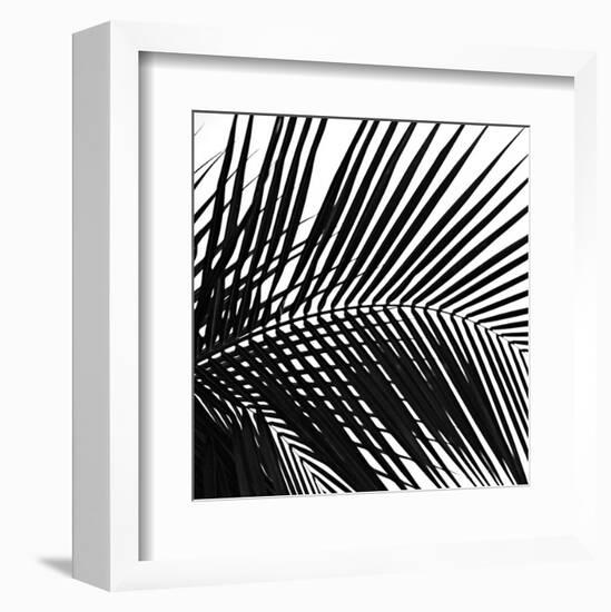 Palms 10 (detail)-Jamie Kingham-Framed Art Print