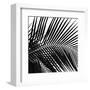 Palms 10 (detail)-Jamie Kingham-Framed Art Print