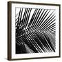 Palms 10 (detail)-Jamie Kingham-Framed Art Print