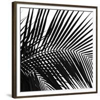 Palms 10 (detail)-Jamie Kingham-Framed Art Print