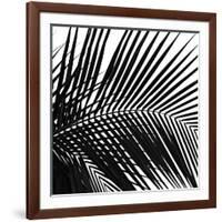 Palms 10 (detail)-Jamie Kingham-Framed Art Print