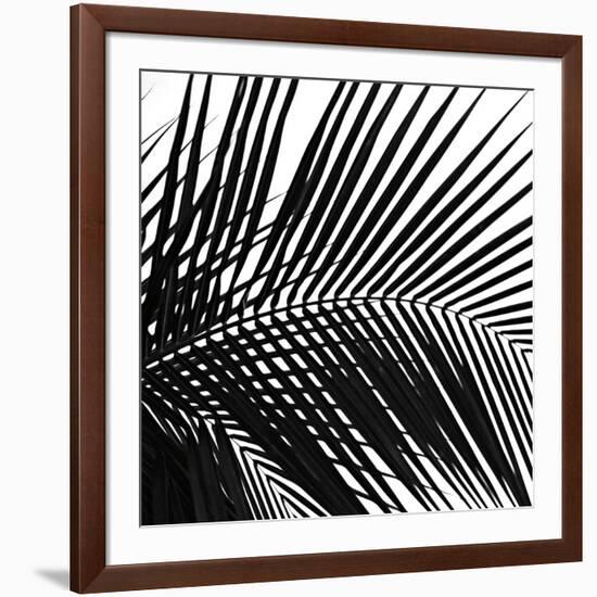 Palms 10 (detail)-Jamie Kingham-Framed Art Print