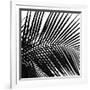 Palms 10 (detail)-Jamie Kingham-Framed Art Print