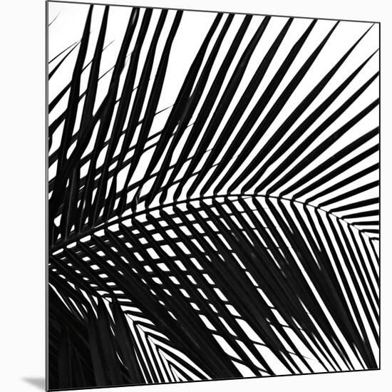 Palms 10 (detail)-Jamie Kingham-Mounted Art Print