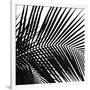 Palms 10 (detail)-Jamie Kingham-Framed Giclee Print