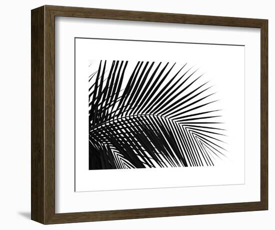 Palms 10-Jamie Kingham-Framed Art Print