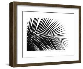 Palms 10-Jamie Kingham-Framed Art Print