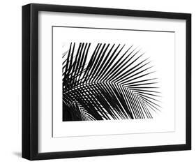 Palms 10-Jamie Kingham-Framed Art Print