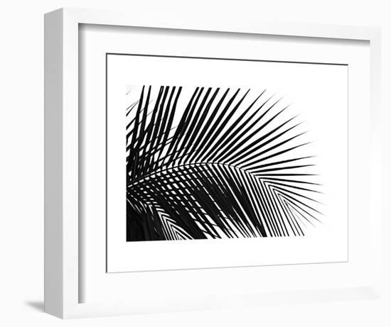 Palms 10-Jamie Kingham-Framed Art Print