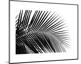 Palms 10-Jamie Kingham-Mounted Art Print