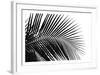 Palms 10-Jamie Kingham-Framed Art Print