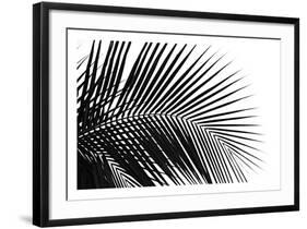 Palms 10-Jamie Kingham-Framed Art Print