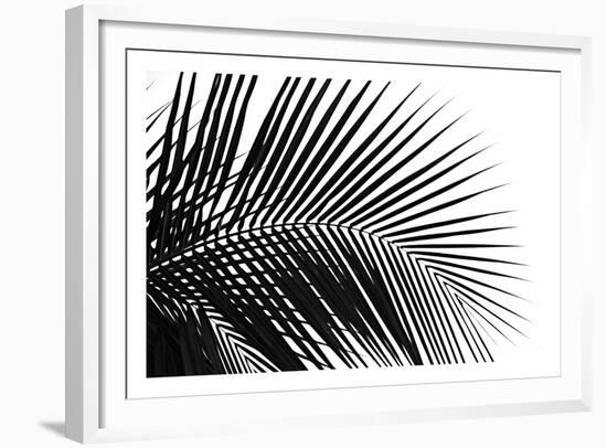 Palms 10-Jamie Kingham-Framed Art Print