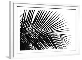 Palms 10-Jamie Kingham-Framed Art Print