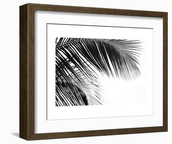 Palms 11-Jamie Kingham-Framed Art Print