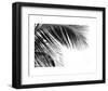 Palms 11-Jamie Kingham-Framed Art Print