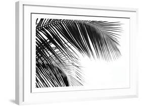 Palms 11-Jamie Kingham-Framed Art Print