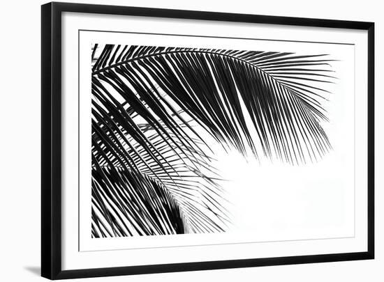 Palms 11-Jamie Kingham-Framed Art Print