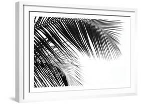 Palms 11-Jamie Kingham-Framed Art Print