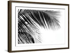 Palms 11-Jamie Kingham-Framed Art Print