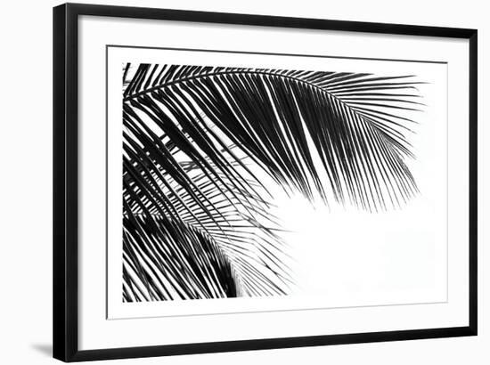 Palms 11-Jamie Kingham-Framed Art Print