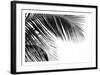 Palms 11-Jamie Kingham-Framed Art Print