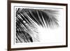 Palms 11-Jamie Kingham-Framed Art Print