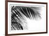 Palms 11-Jamie Kingham-Framed Art Print