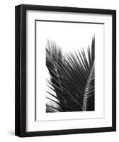 Palms 12-Jamie Kingham-Framed Art Print