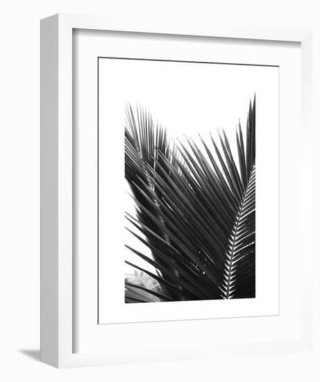 Palms 12-Jamie Kingham-Framed Art Print