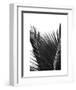 Palms 12-Jamie Kingham-Framed Art Print