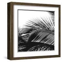 Palms 13 (detail)-Jamie Kingham-Framed Art Print