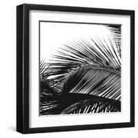 Palms 13 (detail)-Jamie Kingham-Framed Art Print