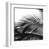 Palms 13 (detail)-Jamie Kingham-Framed Art Print