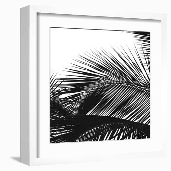 Palms 13 (detail)-Jamie Kingham-Framed Art Print