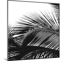 Palms 13 (detail)-Jamie Kingham-Mounted Art Print